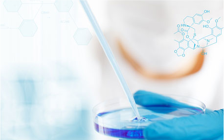 醫(yī)藥中間體、原料藥、制劑